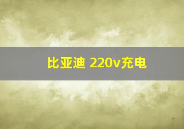 比亚迪 220v充电